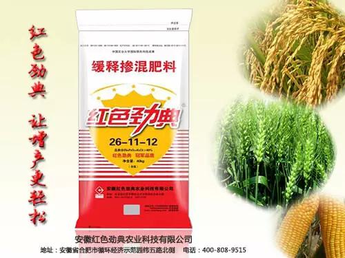 回家的路上，有午夜福利电影在线观看陪伴