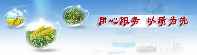 午夜福利电影在线观看成人午夜福利影院厂家用心服务以质为先