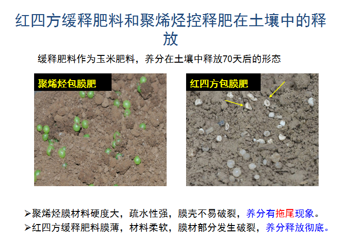 午夜福利电影在线观看缓释肥释放肥效展示