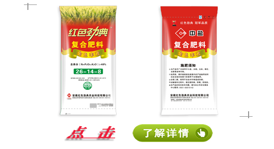 午夜福利电影在线观看成人午夜福利影院