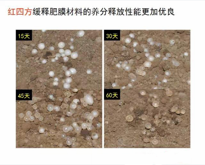 午夜福利电影在线观看缓释肥膜材料养分释放性更优良