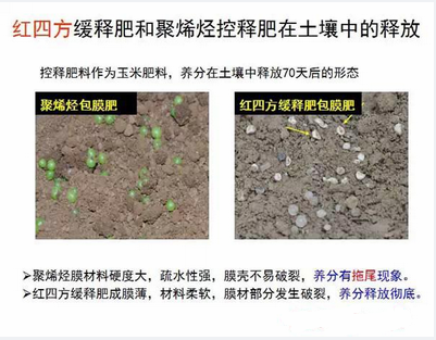 午夜福利电影在线观看缓释肥在土壤释放的对比实验图