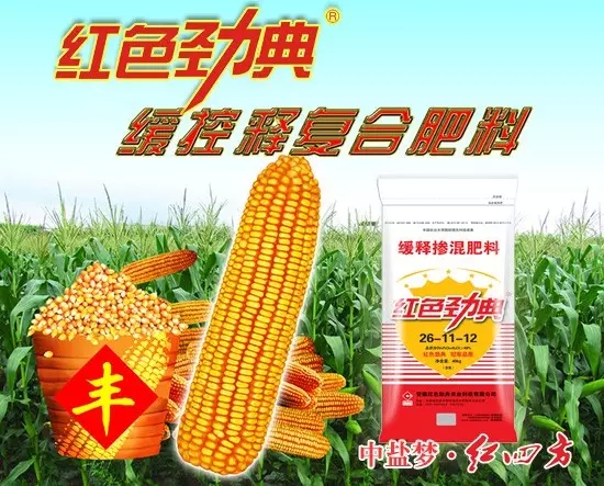 午夜福利电影在线观看玉米缓释肥49%（26-11-12）