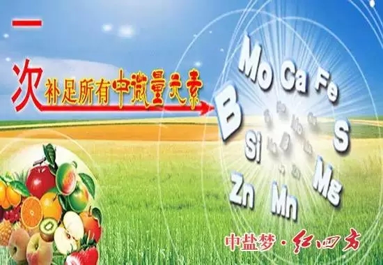 补充营养，微量元素少不了！