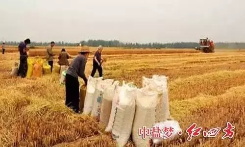 午夜看片APP丰收时