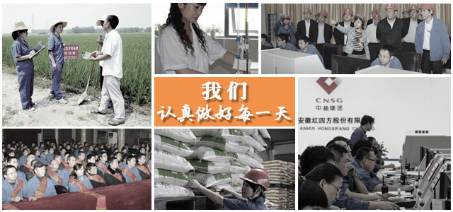 午夜福利电影在线观看成人午夜福利影院厂家农化服务