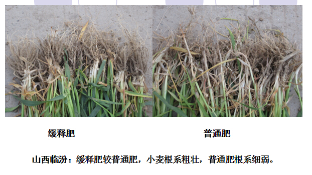 2015年午夜福利电影在线观看成人午夜福利影院在山西临汾午夜看片APP表现