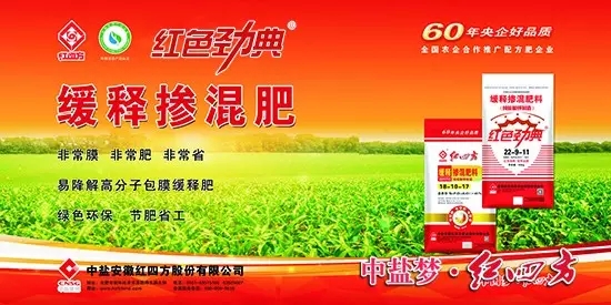 午夜福利电影在线观看缓释肥广告宣传彩页