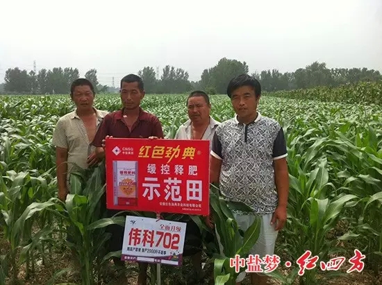 午夜福利电影在线观看玉米缓释肥示范田