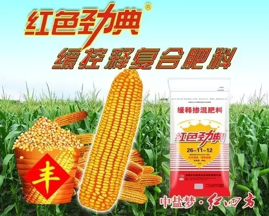 午夜福利电影在线观看玉米专用缓释肥一次施肥全程呵护
