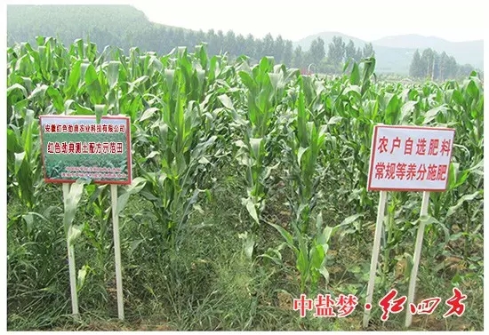 午夜福利电影在线观看专用新型缓释肥料