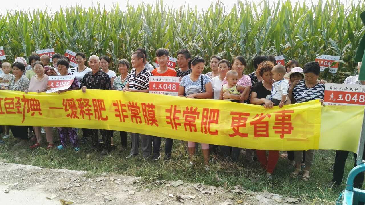 午夜福利电影在线观看玉米缓释肥观摩会