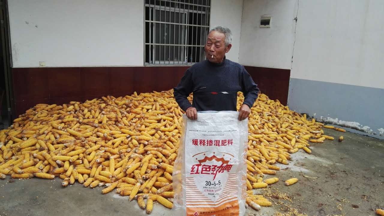 午夜福利电影在线观看玉米控释肥40%（30-5-5）