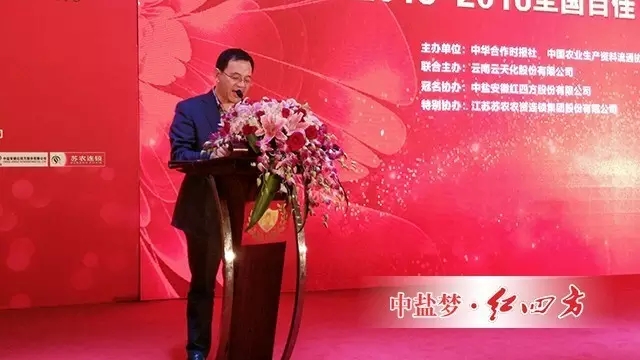 中盐红四方副总经理陈勇致祝酒词。