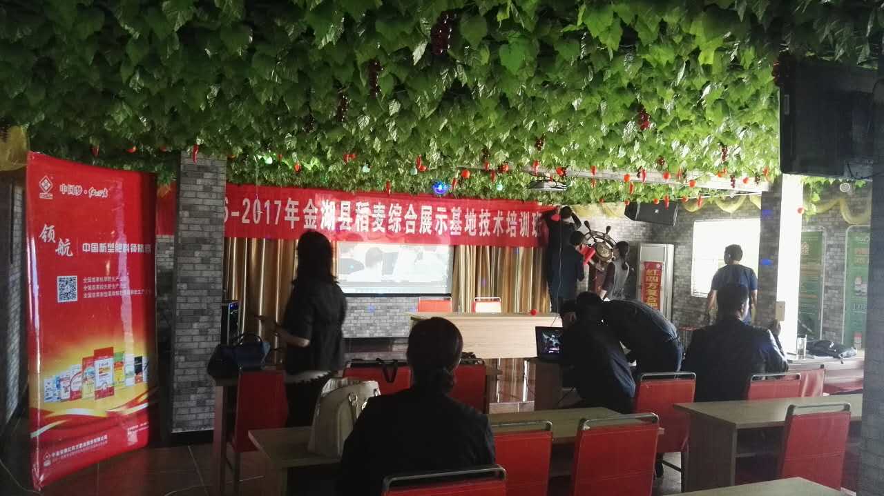 午夜福利电影在线观看复合肥品牌亮相金湖地区举办稻麦综合综合展示基地培训会
