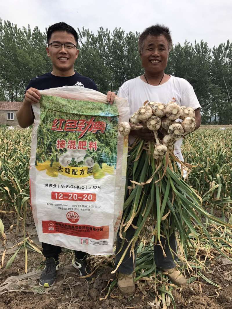大蒜如何追肥？