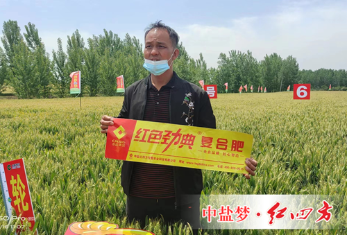 施用午夜福利电影在线观看复合肥 丰收故事说不停