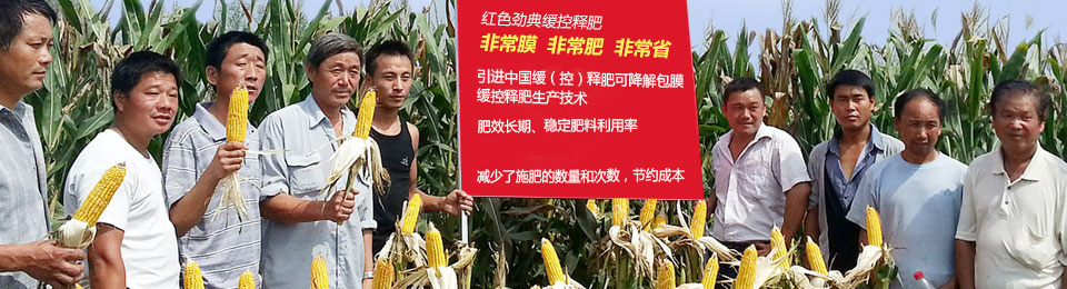 午夜福利电影在线观看缓释肥，国际领先技术