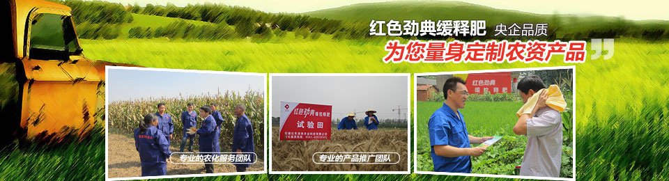 午夜福利电影在线观看，冠军品质，五星服务